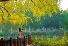 世界杯有日本人-日本足球，在世界杯舞台上的坚韧与荣耀