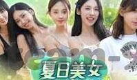 足球比分即时比分比分-揭秘足球比分即时更新背后的速度与激情，一场数据狂欢的盛宴
